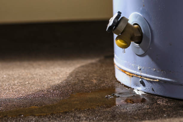 Best Water damage restoration cost  in Midway, AR