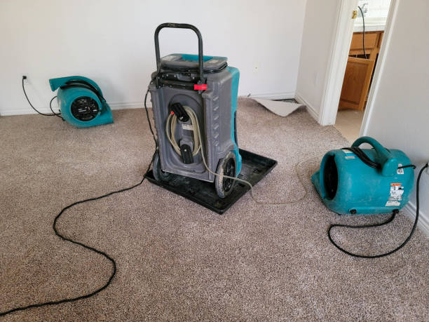 Best 24-hour water damage restoration  in Midway, AR