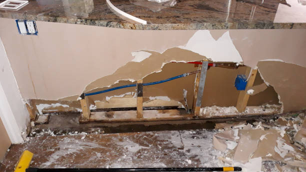 Best Ceiling water damage repair  in Midway, AR