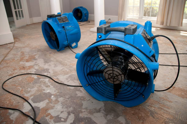 Best Ceiling water damage repair  in Midway, AR