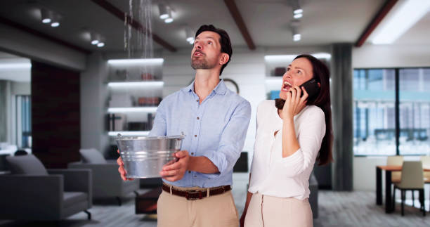 Best Mold removal after water damage  in Midway, AR