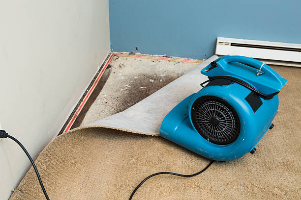  Midway, AR Water damage restoration Pros